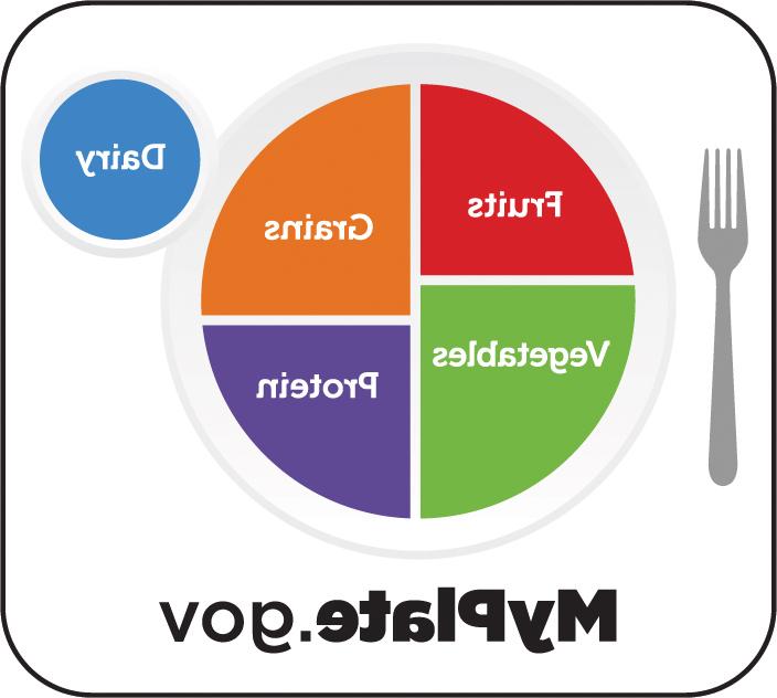 “我的餐盘”.政府:水果，谷物，蔬菜，蛋白质，奶制品